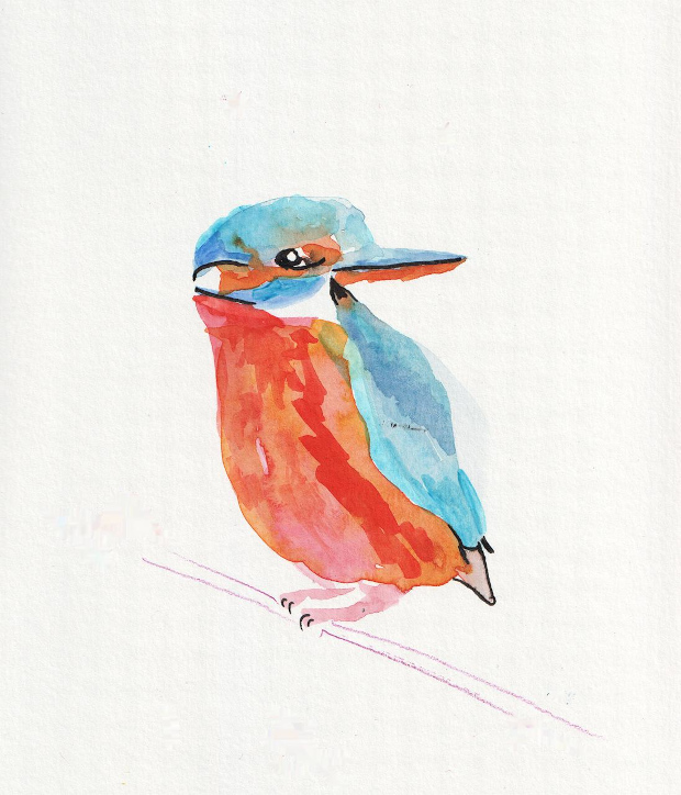 Kingfisher on a branch. Watercolor, ink, and colored pencil.